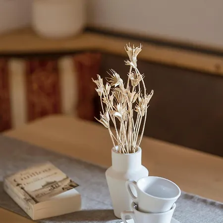 Guest house Pension-appartement Mitterhofer Schenna